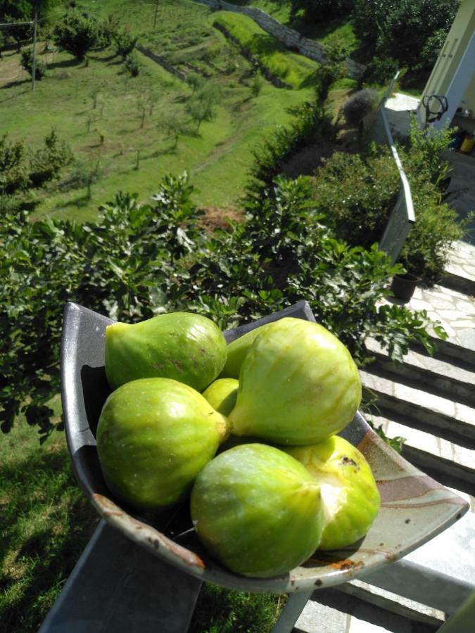 Borgo San Rocco Piemonte Apartment Castino Екстериор снимка